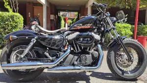 Harley-Davidson 1200 Forty-Eight (2010 - 15)  (2)