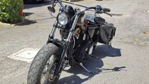 Harley-Davidson 1200 Forty-Eight (2010 - 15)  (3)