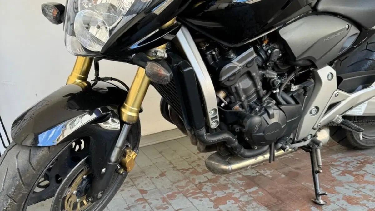 Honda Hornet 600 (2007 - 10)  (2)
