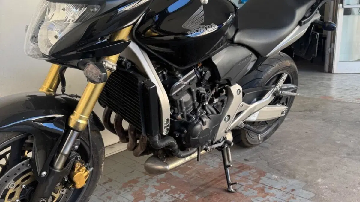 Honda Hornet 600 (2007 - 10)  (3)