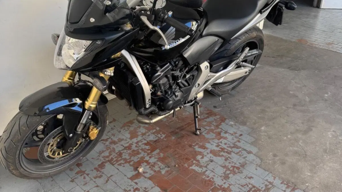 Honda Hornet 600 (2007 - 10)  (4)