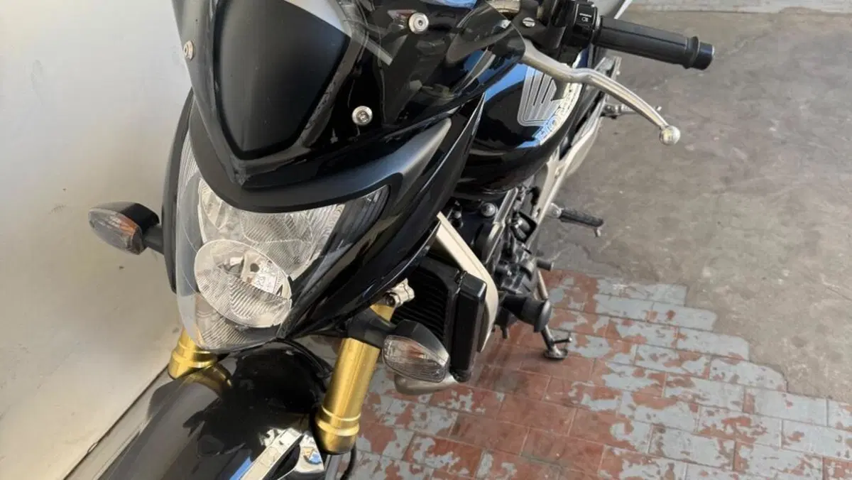 Honda Hornet 600 (2007 - 10)  (5)