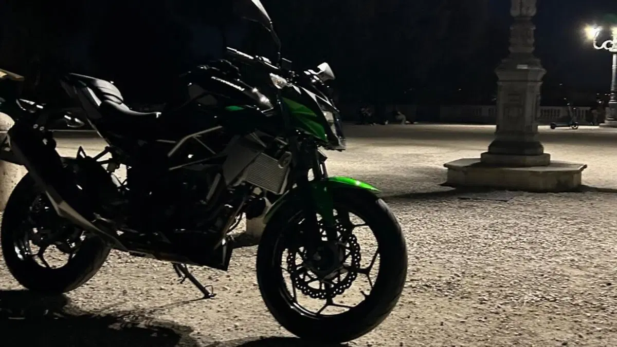 Kawasaki Z 125 (2021 - 24)  (4)