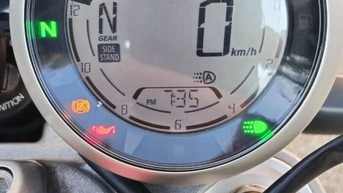 Ducati Scrambler 800 Desert Sled (2021 - 22)  (7)