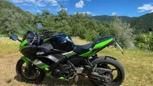 Kawasaki Ninja 650 (2017 - 19)  (2)