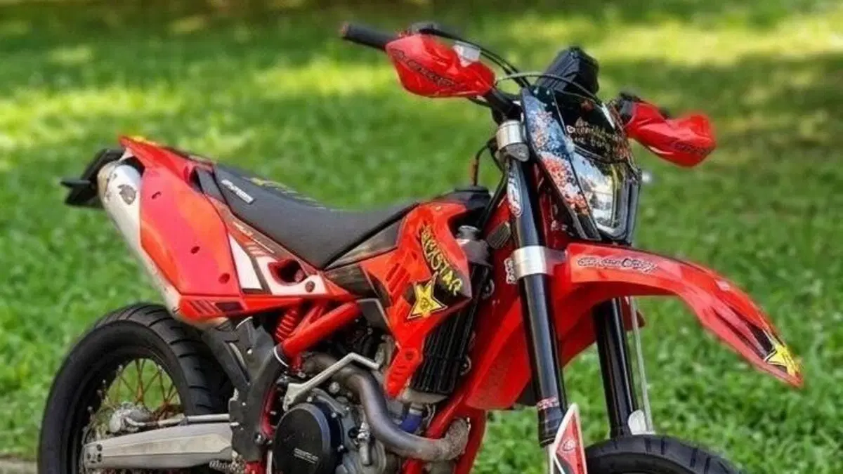 Betamotor RR 450 4T Enduro (2013)  (2)