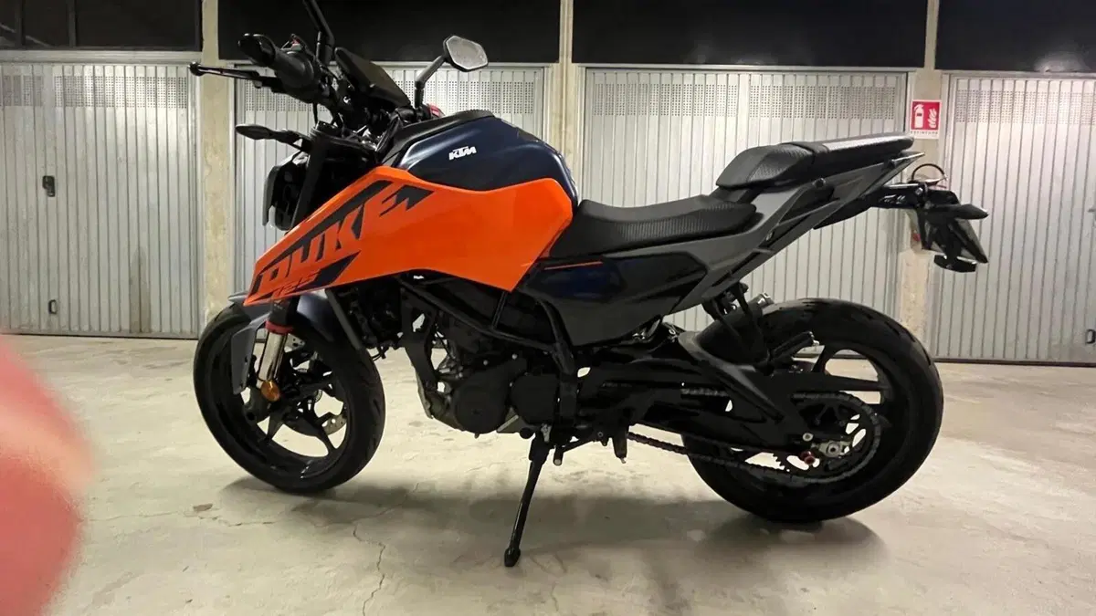 KTM 125 Duke (2026) 