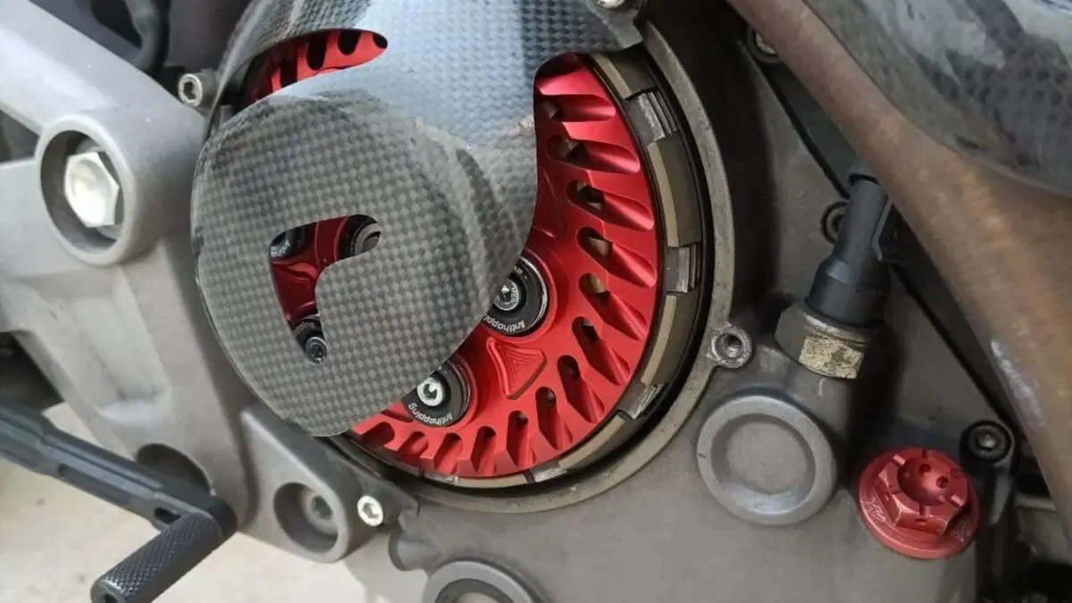 Ducati Monster 1100 (2009 -10) 