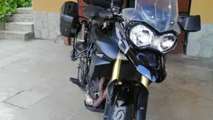 Triumph Tiger 800 ABS (2010 - 14)  (10)