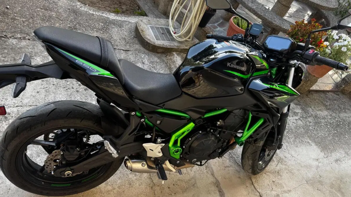 Kawasaki Z 650 (2025 - 26)  (3)