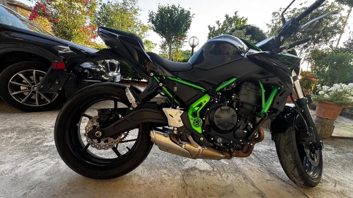 Kawasaki Z 650 (2025 - 26)  (4)