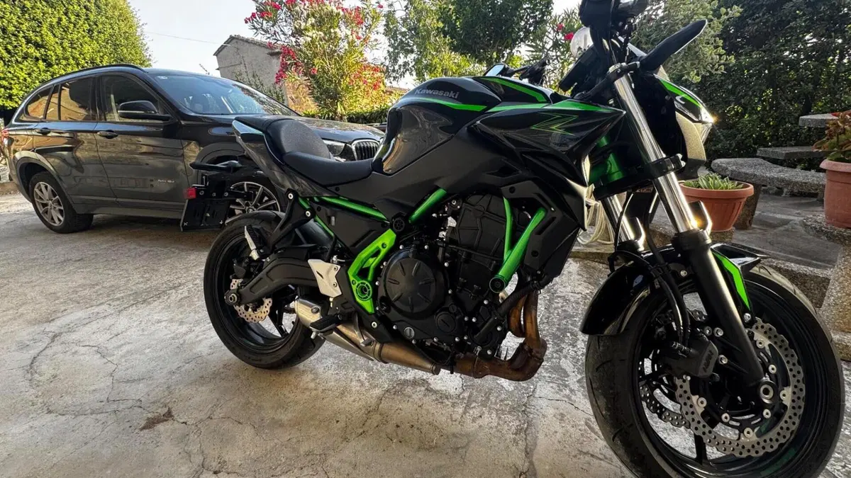 Kawasaki Z 650 (2025 - 26)  (7)