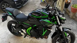 Kawasaki Z 650 (2025 - 26)  (8)