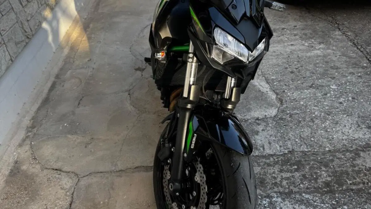 Kawasaki Z 650 (2025 - 26)  (9)