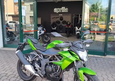 Kawasaki Z 250 SL (2015 - 16) - Annuncio 10073502
