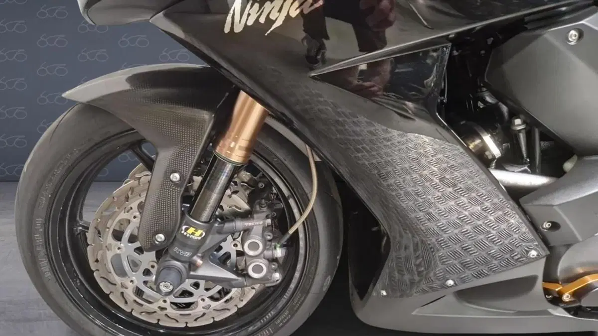 Kawasaki Ninja 1000 ZX-10R (2010 - 11)  (6)