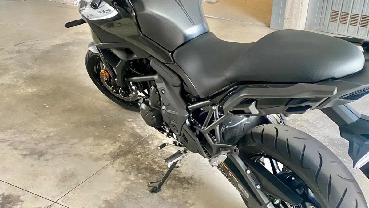 Kawasaki Versys 650 (2025 - 26)  (5)