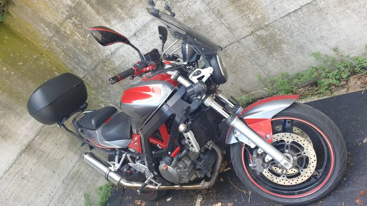 Suzuki SV 650 (2006 - 11)  (3)