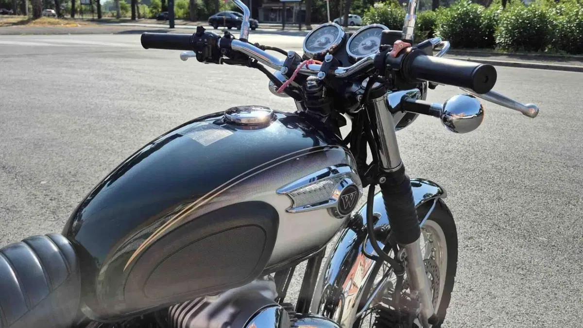 Kawasaki W 800 (2010 - 17)  (2)