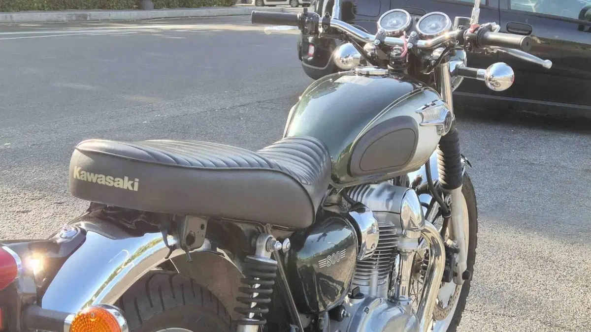 Kawasaki W 800 (2010 - 17)  (11)