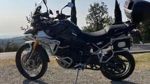Triumph Tiger 900 Rally Pro (2024 - 26)  (3)