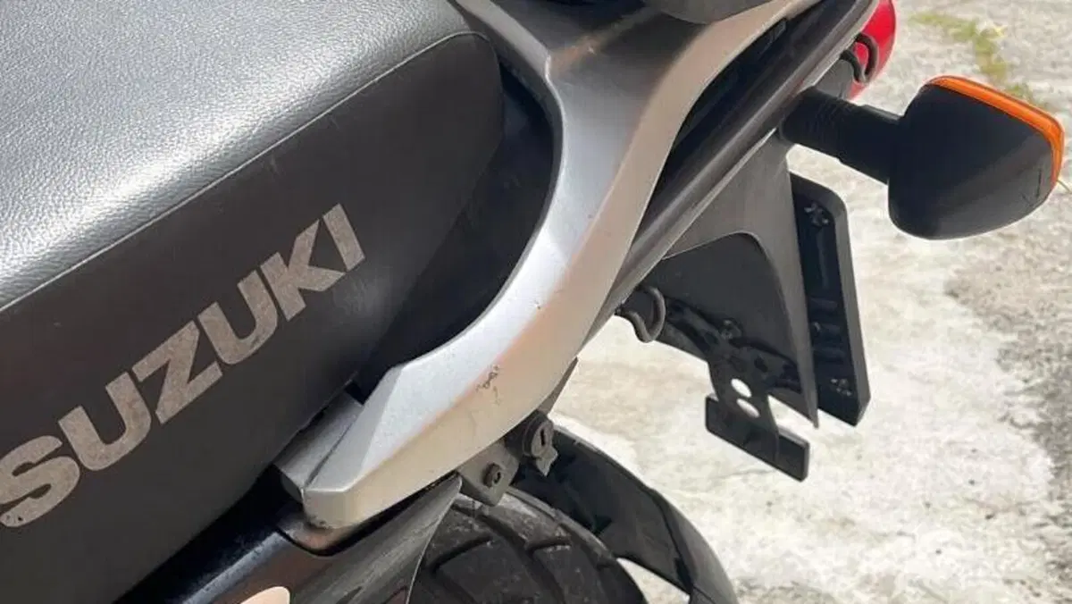 Suzuki XF 650 Freewind (1997 - 03)  (3)