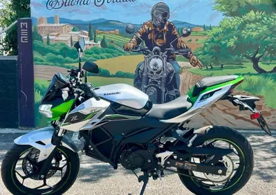 Kawasaki Z e-1 (2024 - 26) - Annuncio 10073787