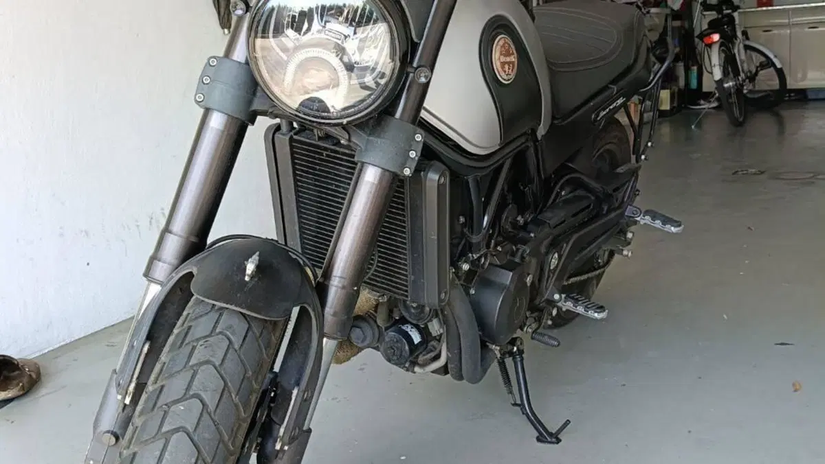 Benelli Leoncino 500 ABS (2017 - 20)  (3)