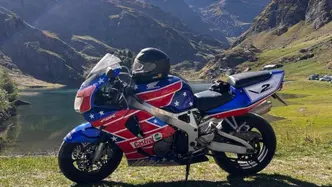 Honda CBR 900 RR (1998 - 99) usata