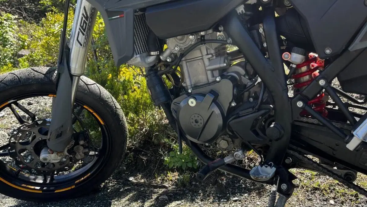 Betamotor RR 125 4T Motard T (2023 - 24)  (3)