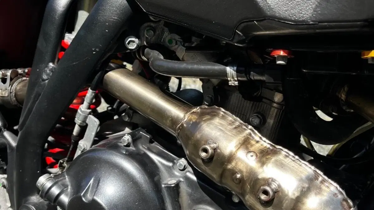 Betamotor RR 125 4T Motard T (2023 - 24)  (4)