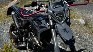 Betamotor RR 125 4T Motard T (2023 - 24)  (10)
