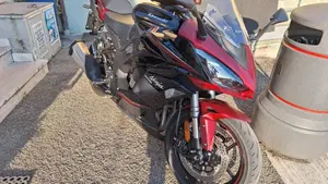 Kawasaki Ninja 1000 SX Tourer (2021 - 24) 
