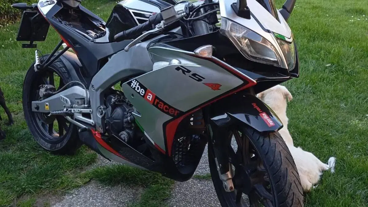 Aprilia RS 125 (2006 - 14) 