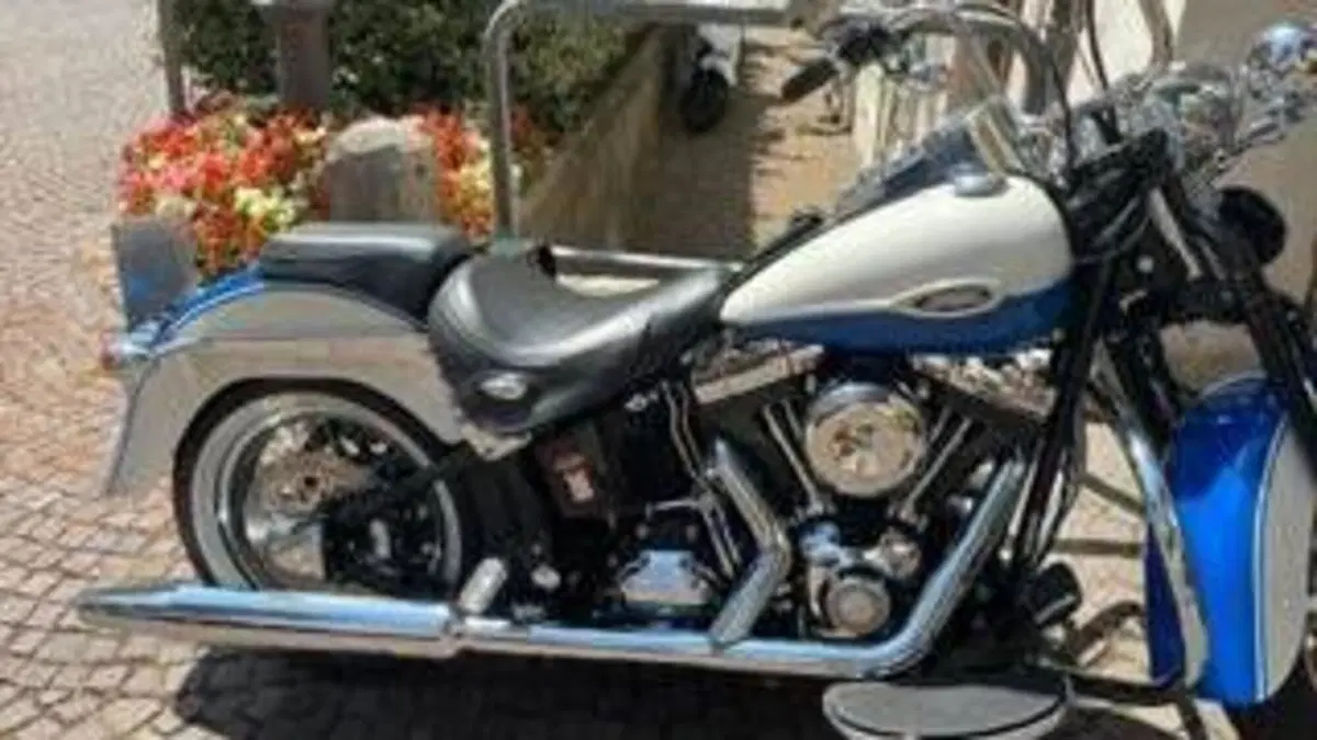 Harley-Davidson 1584 Springer Classic (2006 - 07) - FLSTSC  (6)