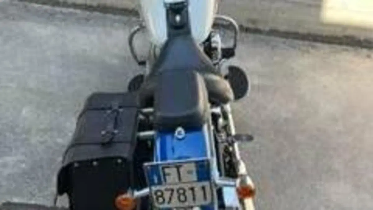 Harley-Davidson 1584 Springer Classic (2006 - 07) - FLSTSC  (7)