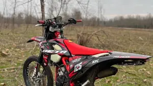 Betamotor RR 125 2T Enduro (2019)  (2)