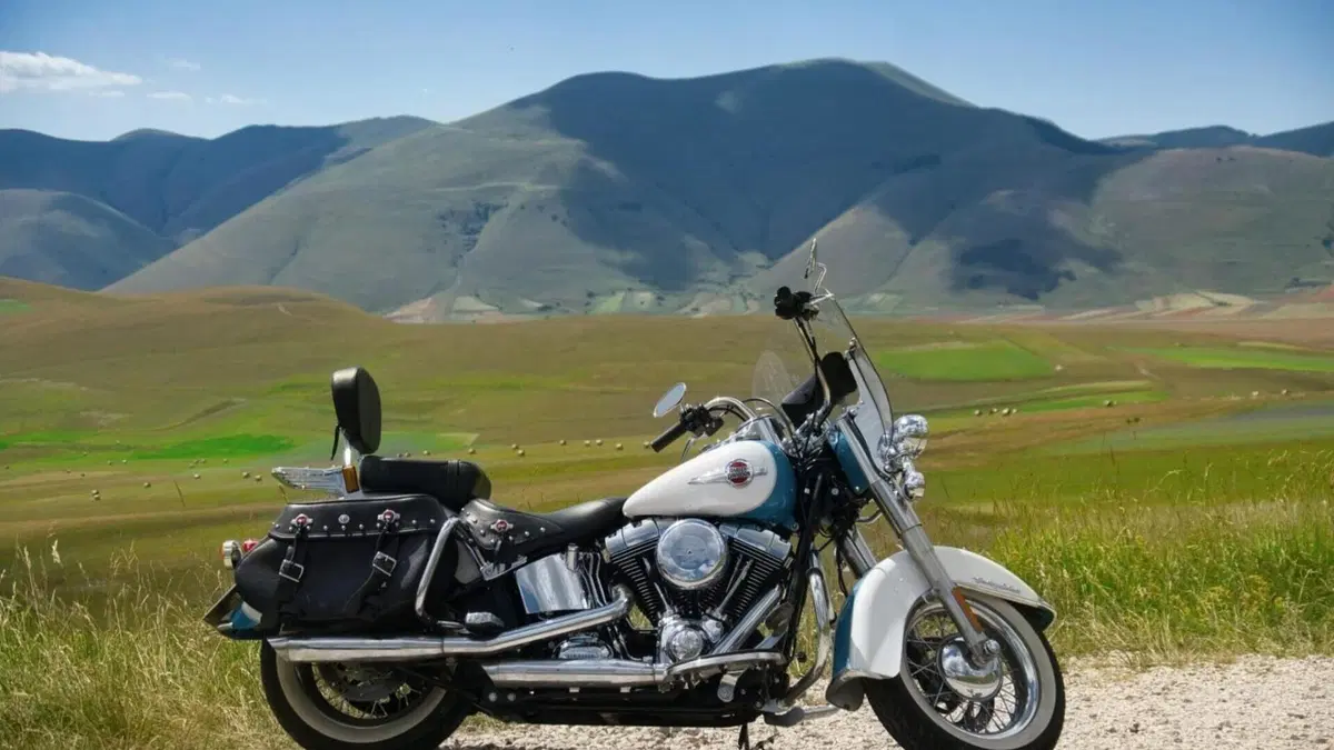 Harley-Davidson 1690 Heritage Classic (2011 - 17) - FLSTC  (2)