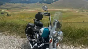 Harley-Davidson 1690 Heritage Classic (2011 - 17) - FLSTC  (3)