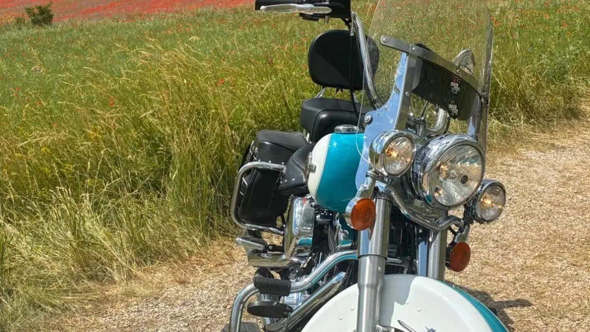 Harley-Davidson 1690 Heritage Classic (2011 - 17) - FLSTC  (4)