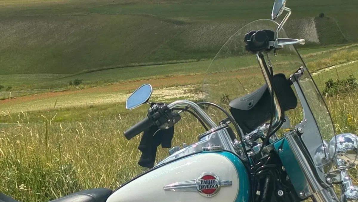 Harley-Davidson 1690 Heritage Classic (2011 - 17) - FLSTC  (5)