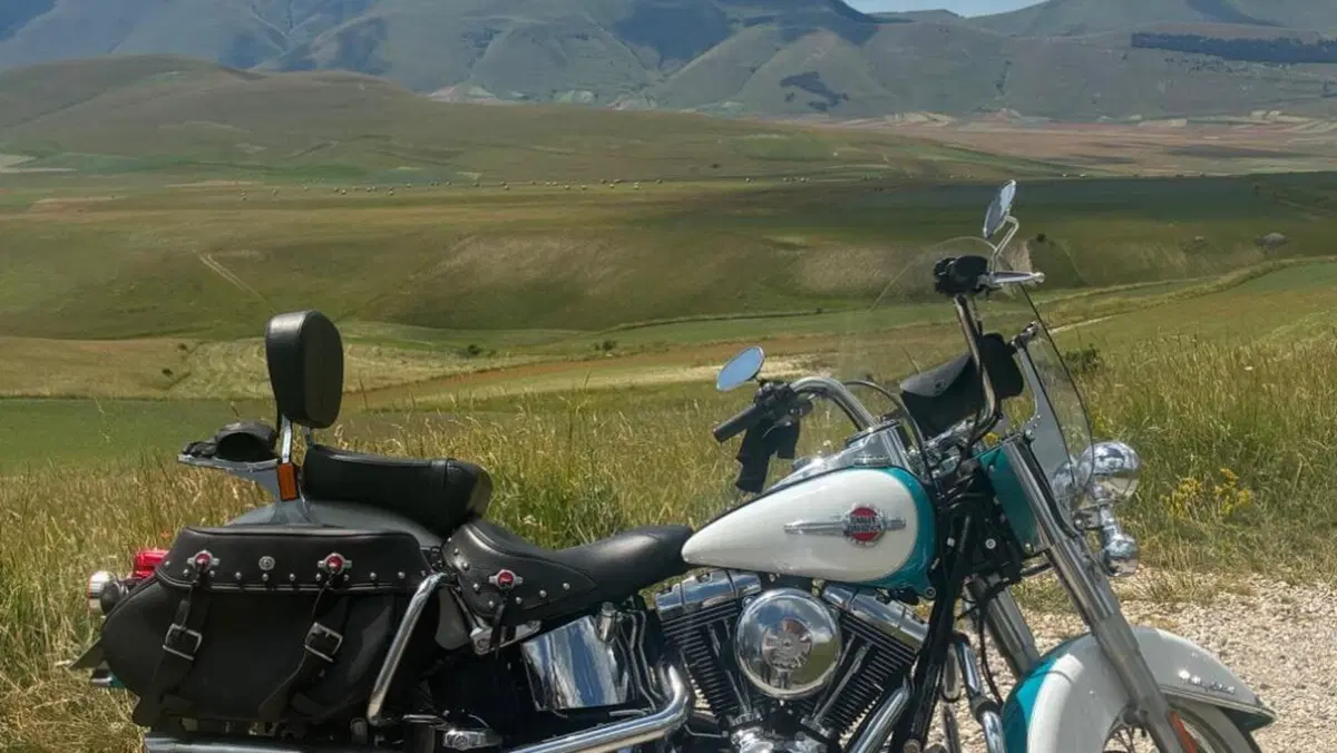 Harley-Davidson 1690 Heritage Classic (2011 - 17) - FLSTC  (6)