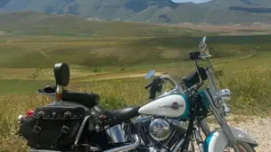 Harley-Davidson 1690 Heritage Classic (2011 - 17) - FLSTC  (6)