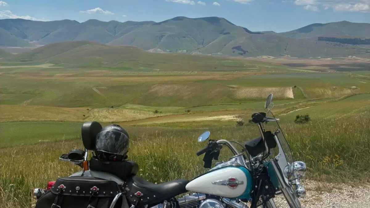 Harley-Davidson 1690 Heritage Classic (2011 - 17) - FLSTC  (7)