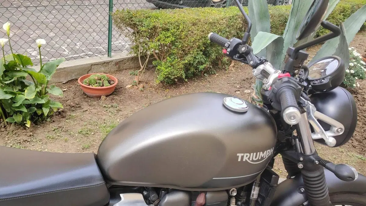 Triumph Speed Twin 900 (2023 - 24)  (2)