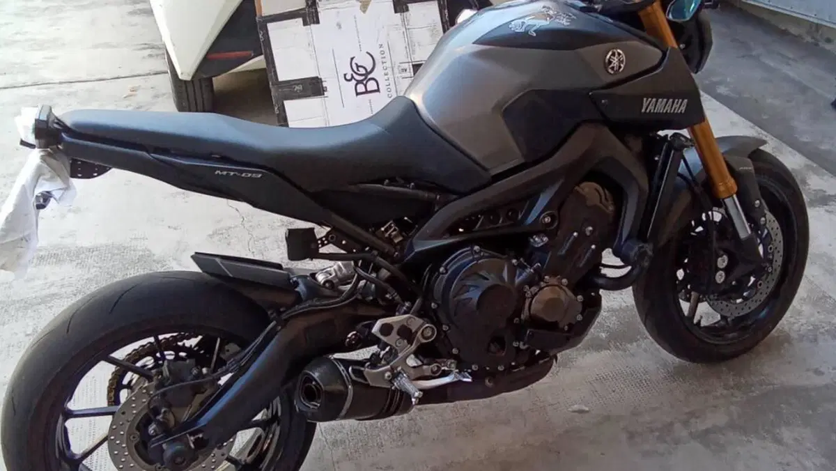 Yamaha MT-09 (2013 - 15)  (2)