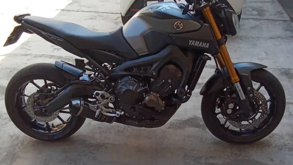 Yamaha MT-09 (2013 - 15)  (6)