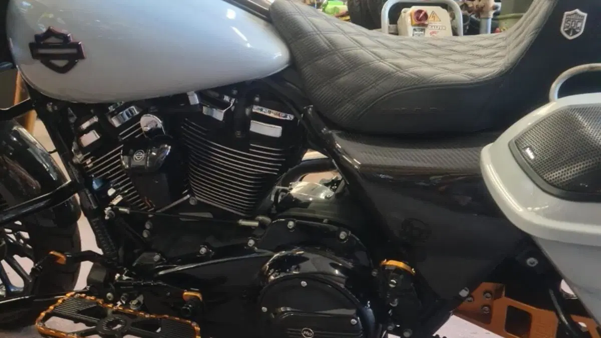Harley-Davidson Road Glide Special (2021 - 23)  (3)