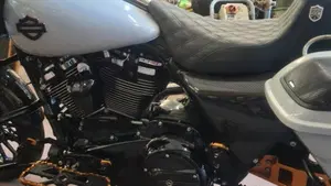Harley-Davidson Road Glide Special (2021 - 23)  (3)