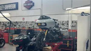 Harley-Davidson Road Glide Special (2021 - 23)  (10)